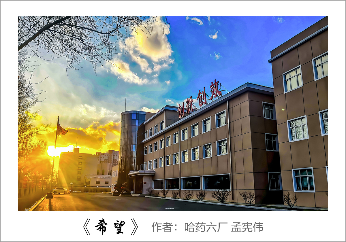 【迎国庆 展风采】我眼中的哈药——职工摄影大赛作品展示!